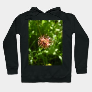 Scottish Photography Series (Vectorized) - Pink Wild Flower Hoodie